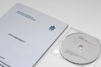 Diplomarbeit Audi AG Neckarsulm